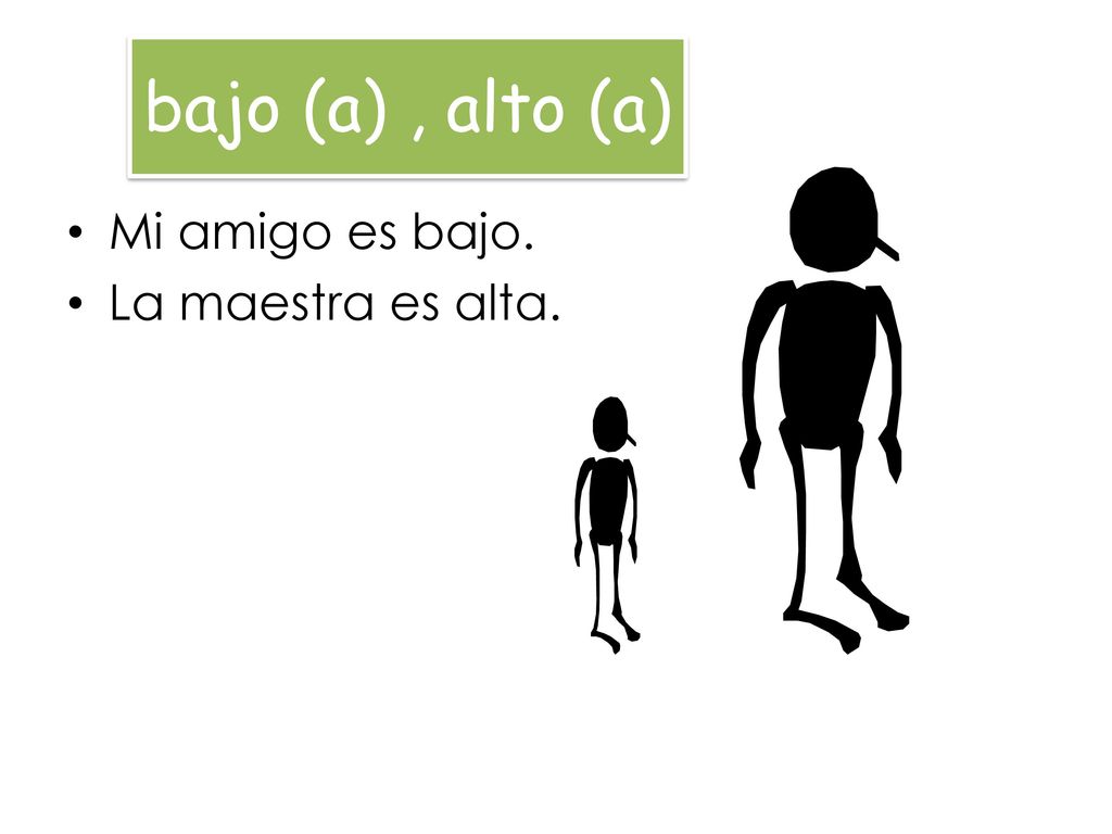 bajo (a) , alto (a) Mi amigo es bajo. La maestra es alta.
