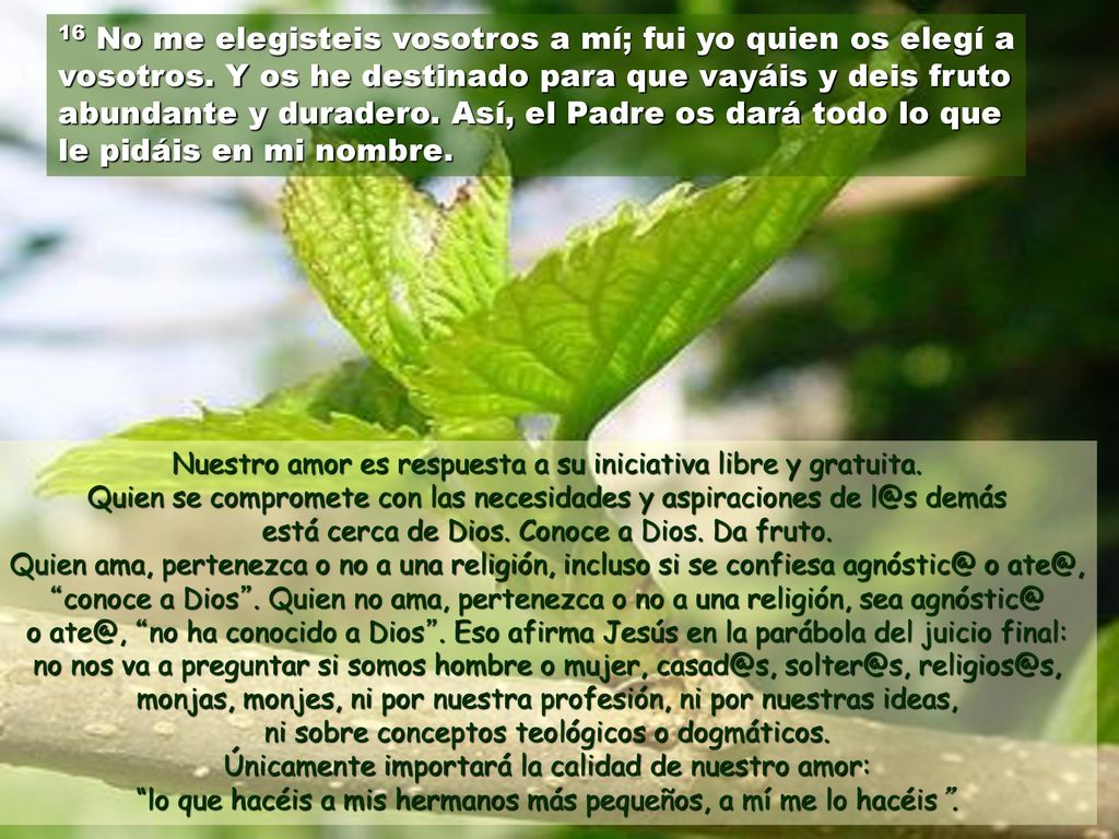 16 No me elegisteis vosotros a mí; fui yo quien os elegí a vosotros