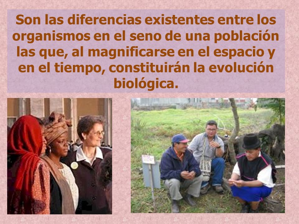 Son las diferencias existentes entre los organismos en el seno de una población las que, al magnificarse en el espacio y en el tiempo, constituirán la evolución biológica.