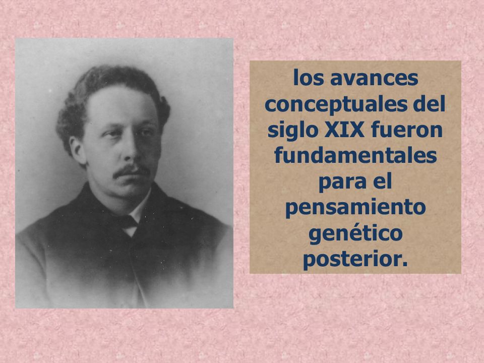 los avances conceptuales del siglo XIX fueron fundamentales para el pensamiento genético posterior.