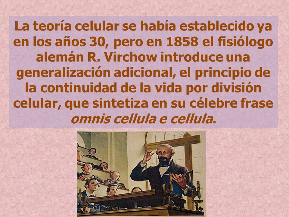 La teoría celular se había establecido ya en los años 30, pero en 1858 el fisiólogo alemán R.
