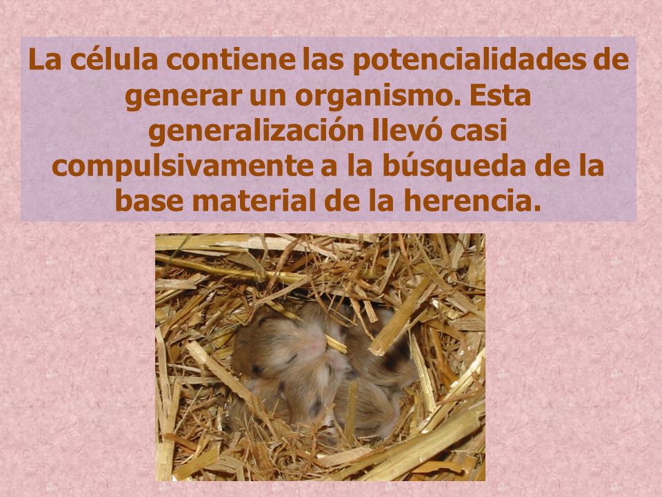 La célula contiene las potencialidades de generar un organismo