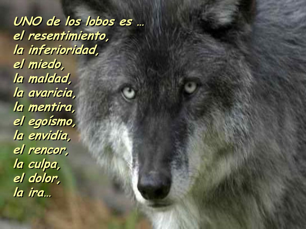 UNO de los lobos es … el resentimiento, la inferioridad, el miedo, la maldad, la avaricia, la mentira,