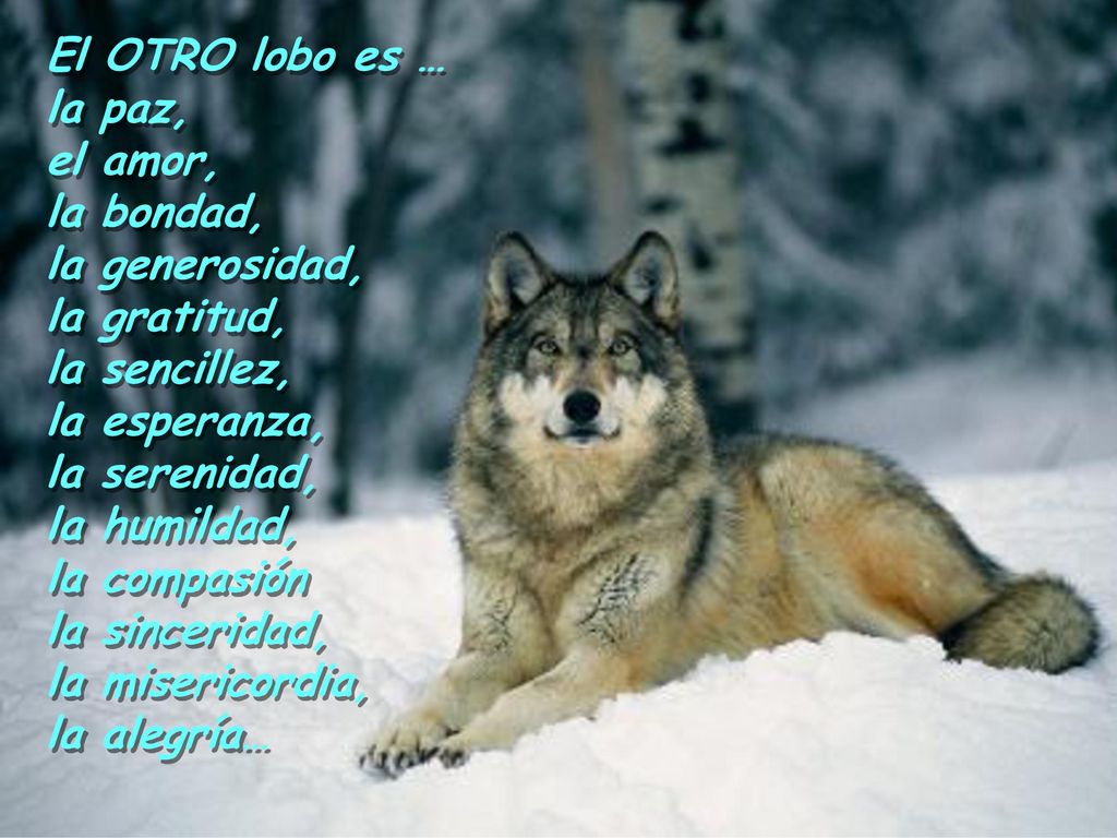 El OTRO lobo es … la paz, el amor, la bondad, la generosidad, la gratitud, la sencillez, la esperanza,