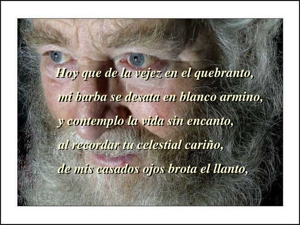 mi barba se desata en blanco armino, y contemplo la vida sin encanto,
