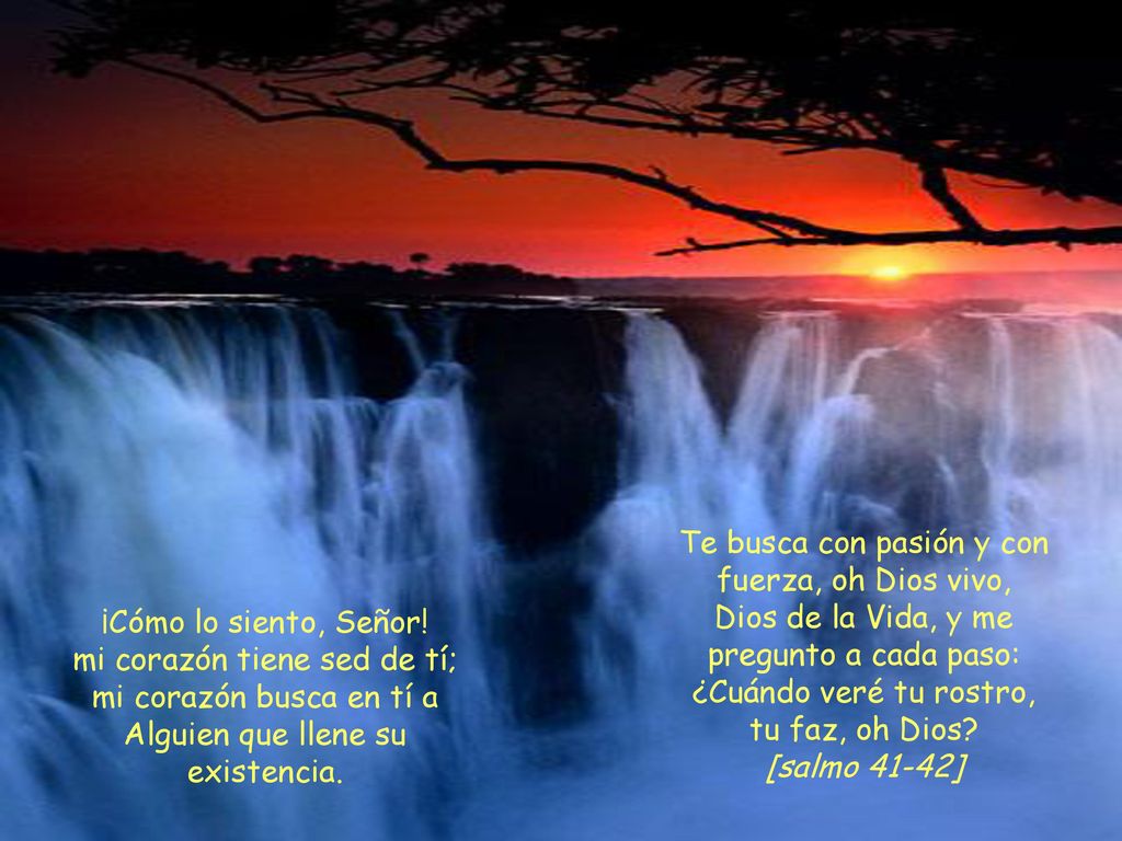 Te busca con pasión y con fuerza, oh Dios vivo,