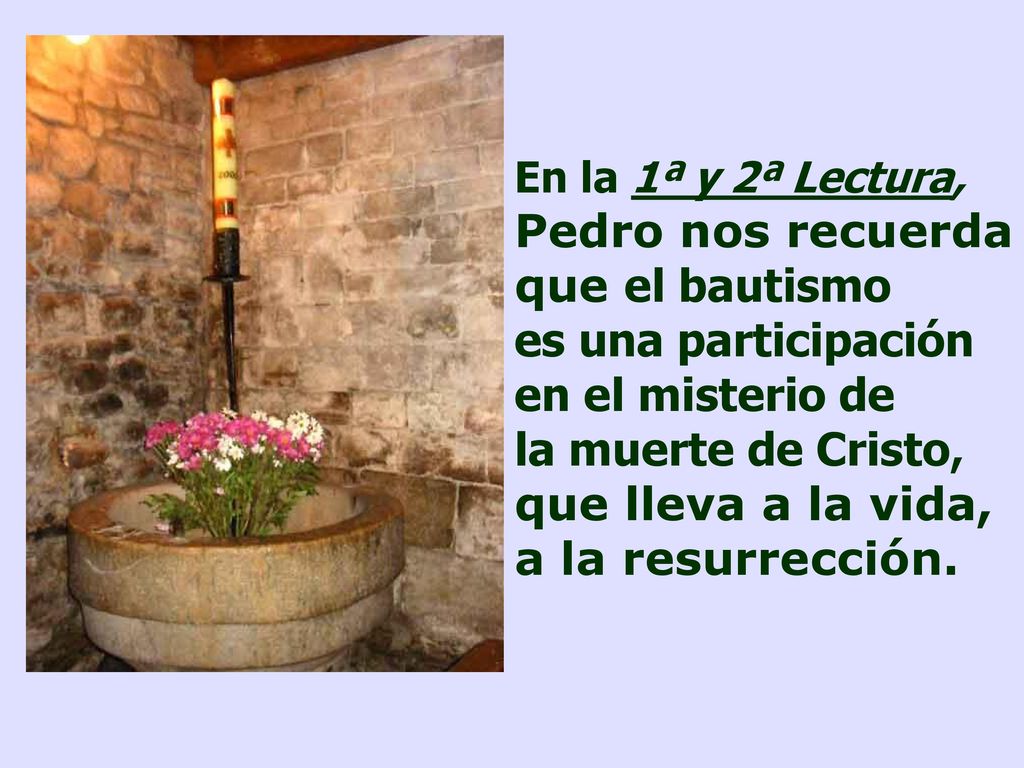 En la 1ª y 2ª Lectura, Pedro nos recuerda que el bautismo es una participación en el misterio de la muerte de Cristo, que lleva a la vida, a la resurrección.