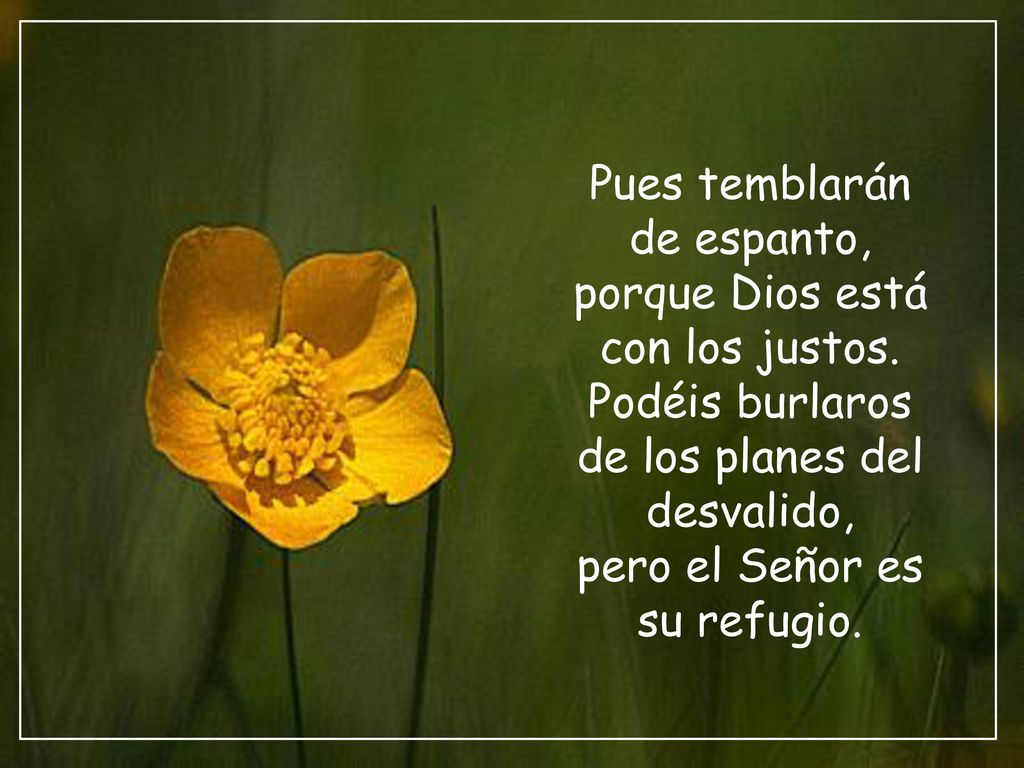 Pues temblarán de espanto, porque Dios está con los justos.