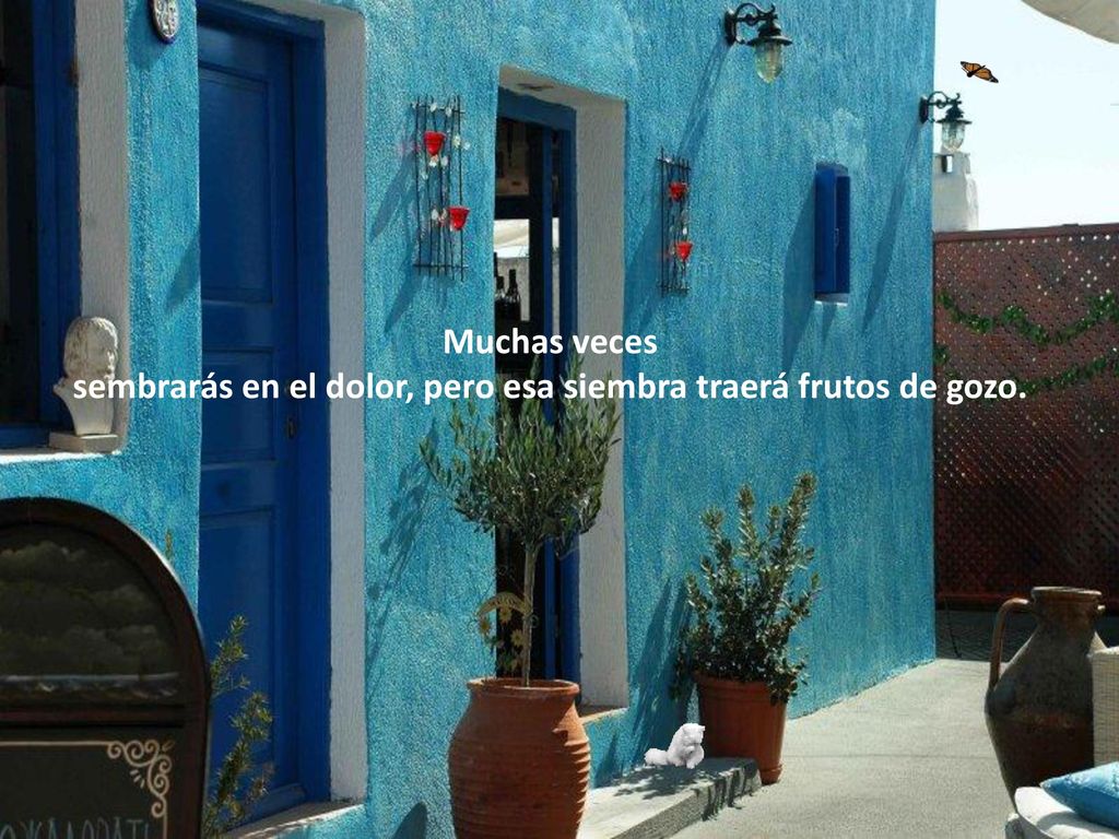 sembrarás en el dolor, pero esa siembra traerá frutos de gozo.