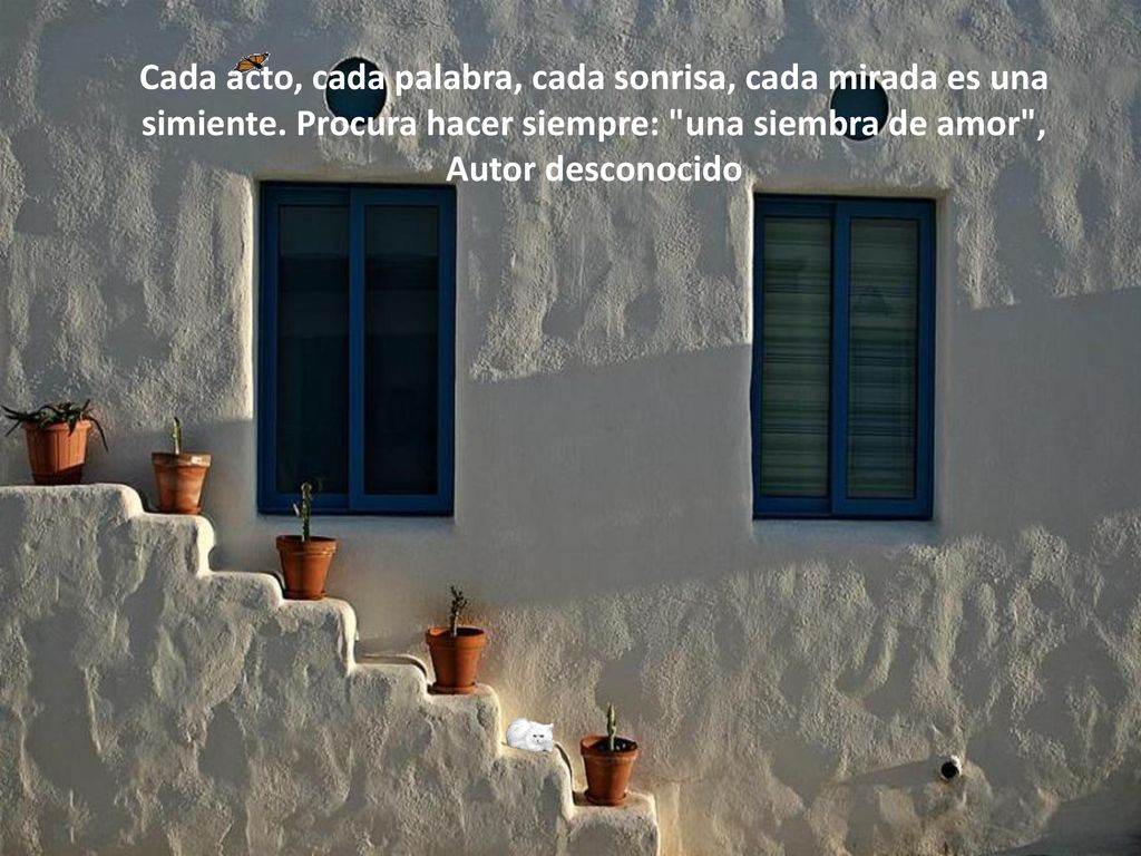 Cada acto, cada palabra, cada sonrisa, cada mirada es una simiente