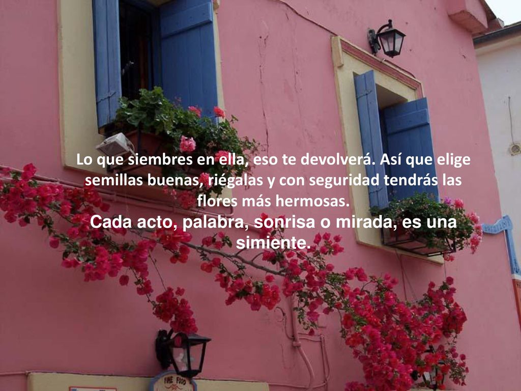 Lo que siembres en ella, eso te devolverá. Así que elige
