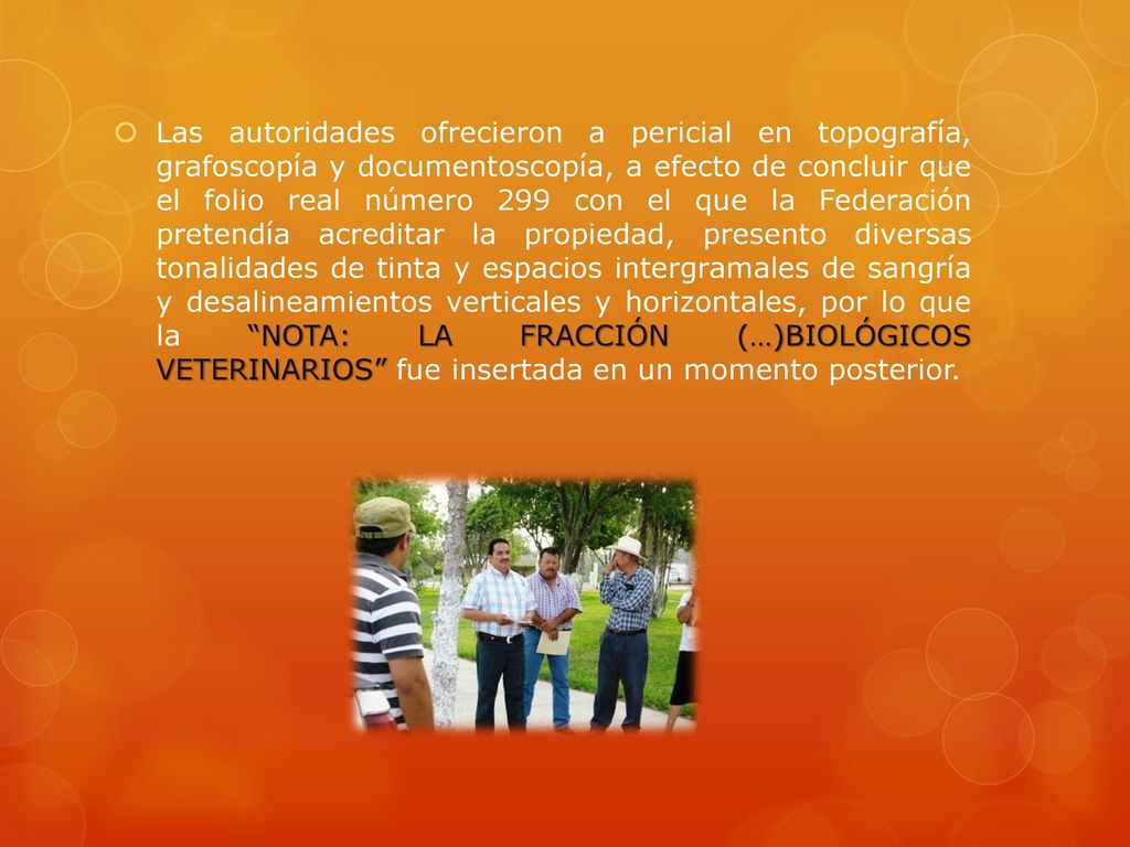 Las autoridades ofrecieron a pericial en topografía, grafoscopía y documentoscopía, a efecto de concluir que el folio real número 299 con el que la Federación pretendía acreditar la propiedad, presento diversas tonalidades de tinta y espacios intergramales de sangría y desalineamientos verticales y horizontales, por lo que la NOTA: LA FRACCIÓN (…)BIOLÓGICOS VETERINARIOS fue insertada en un momento posterior.