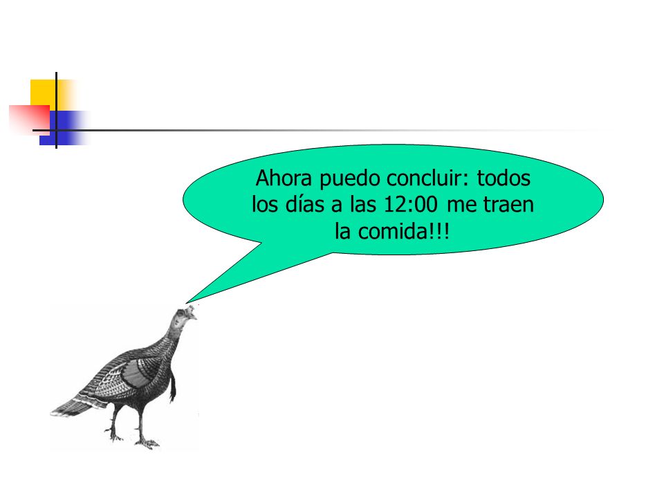 Ahora puedo concluir: todos los días a las 12:00 me traen la comida!!!