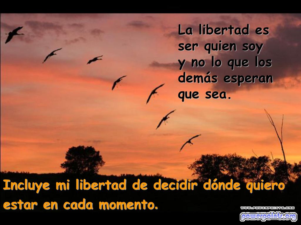 La libertad es ser quien soy y no lo que los demás esperan que sea.