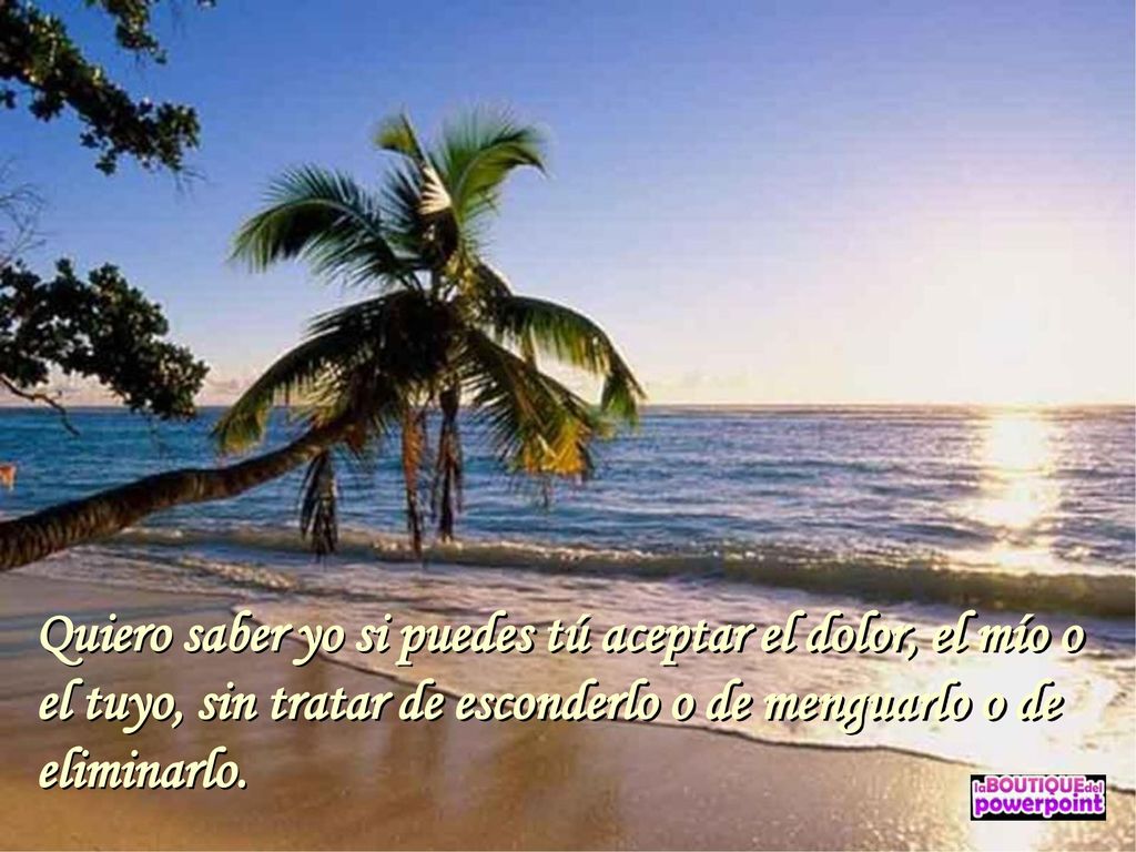 Quiero saber yo si puedes tú aceptar el dolor, el mío o el tuyo, sin tratar de esconderlo o de menguarlo o de eliminarlo.