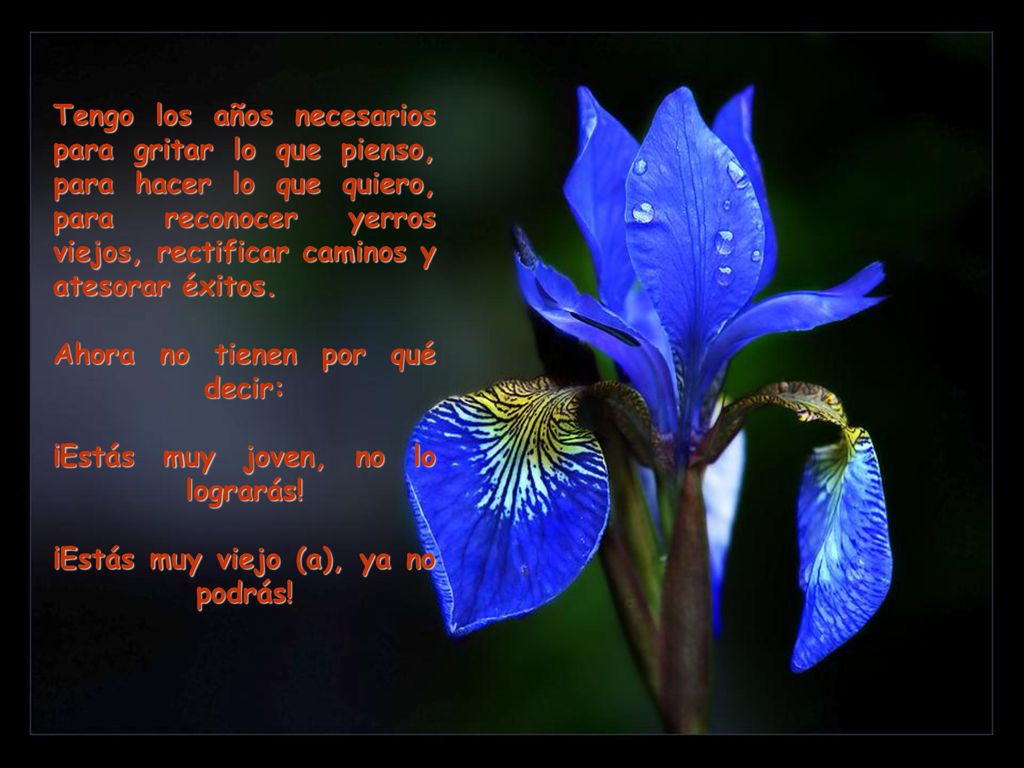 Tengo los años necesarios para gritar lo que pienso, para hacer lo que quiero, para reconocer yerros viejos, rectificar caminos y atesorar éxitos.