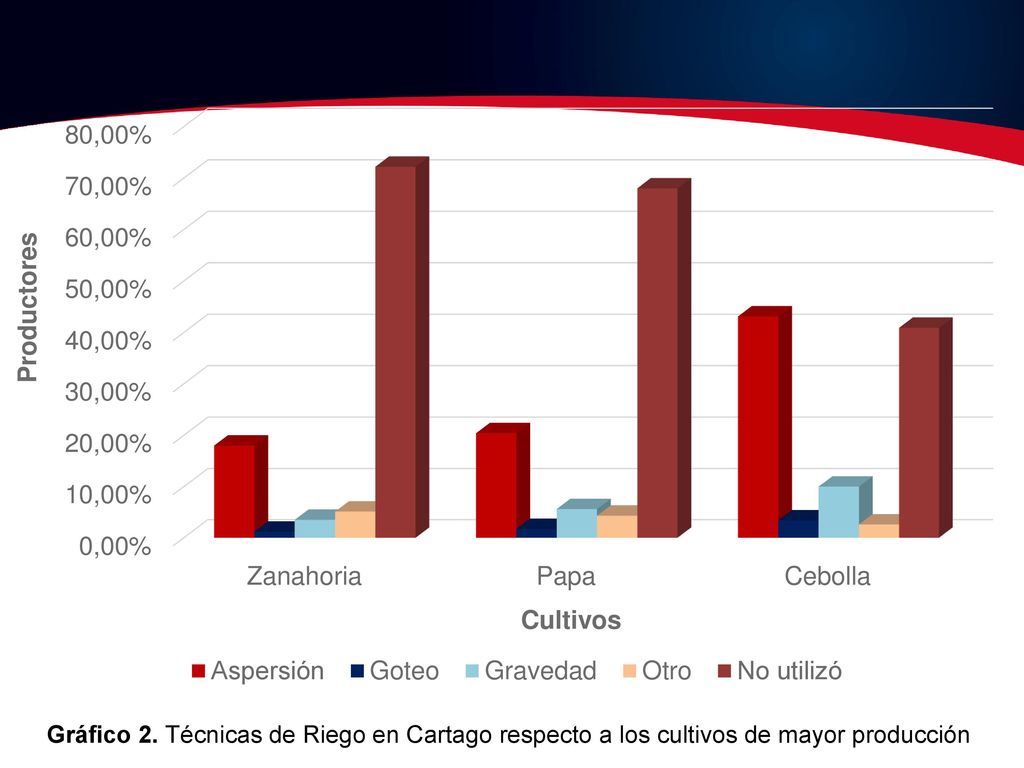 Gráfico 2. Técnicas de Riego en Cartago respecto a los cultivos de mayor producción