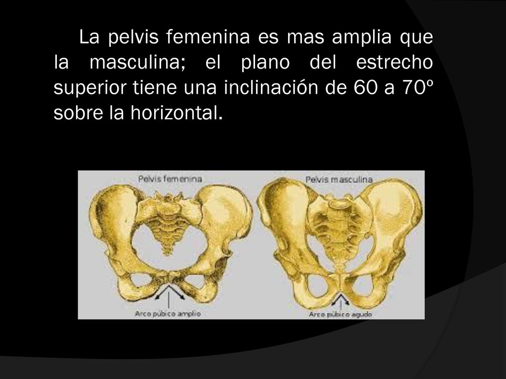 La pelvis femenina es mas amplia que la masculina; el plano del estrecho superior tiene una inclinación de 60 a 70º sobre la horizontal.