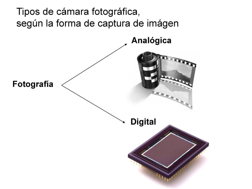 Tipos de cámara fotográfica, según la forma de captura de imágen