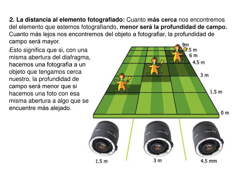 2. La distancia al elemento fotografiado: Cuanto más cerca nos encontremos del elemento que estemos fotografiando, menor será la profundidad de campo. Cuanto más lejos nos encontremos del objeto a fotografiar, la profundidad de campo será mayor.