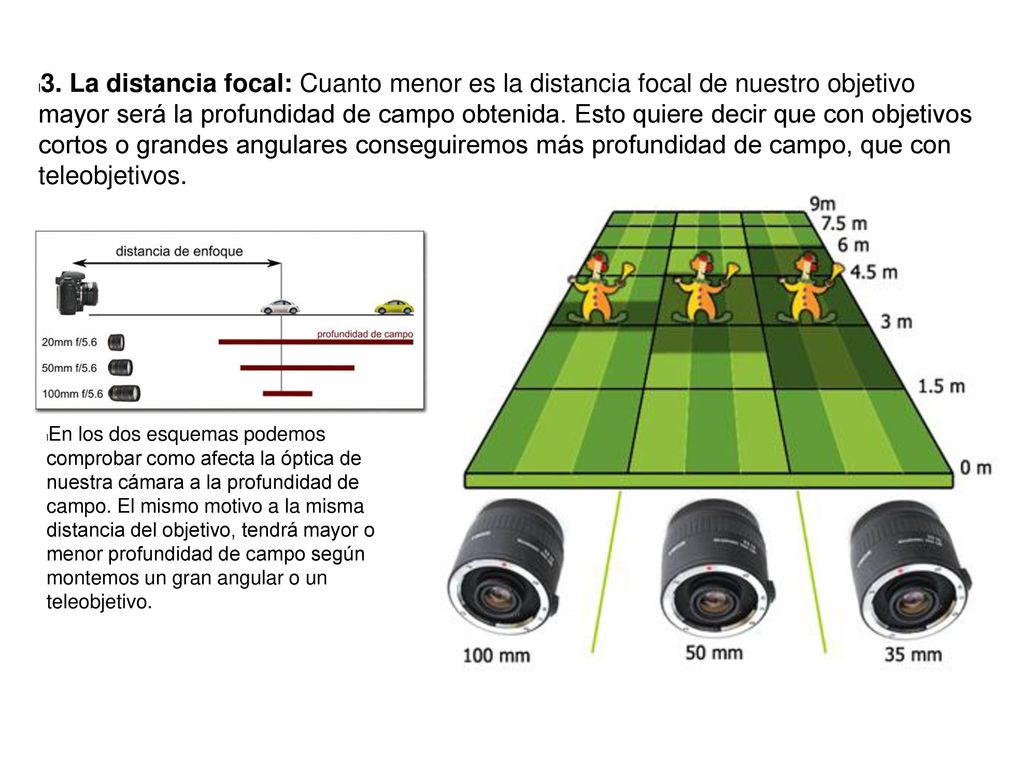 3. La distancia focal: Cuanto menor es la distancia focal de nuestro objetivo mayor será la profundidad de campo obtenida. Esto quiere decir que con objetivos cortos o grandes angulares conseguiremos más profundidad de campo, que con teleobjetivos.