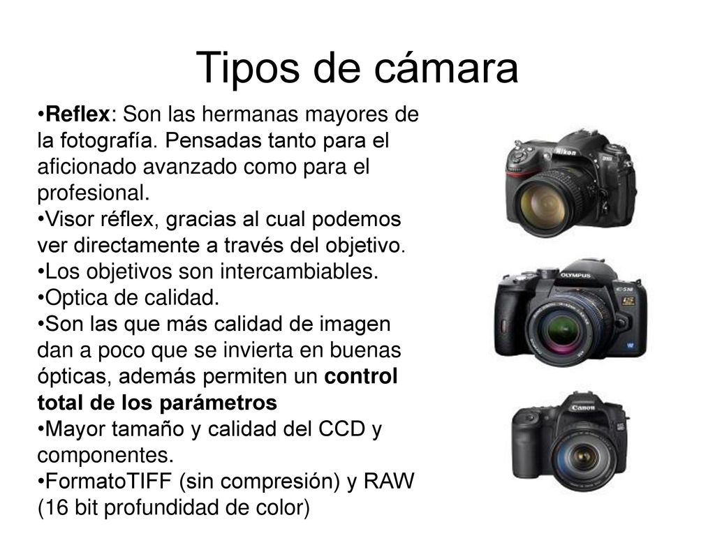 Tipos de cámara Reflex: Son las hermanas mayores de la fotografía. Pensadas tanto para el aficionado avanzado como para el profesional.