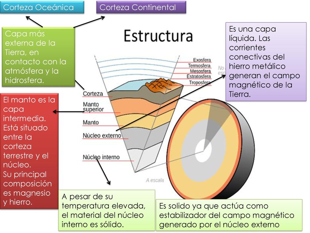 Corteza Oceánica Corteza Continental. Es una capa líquida. Las corrientes. conectivas del hierro metálico generan el campo magnético de la Tierra.