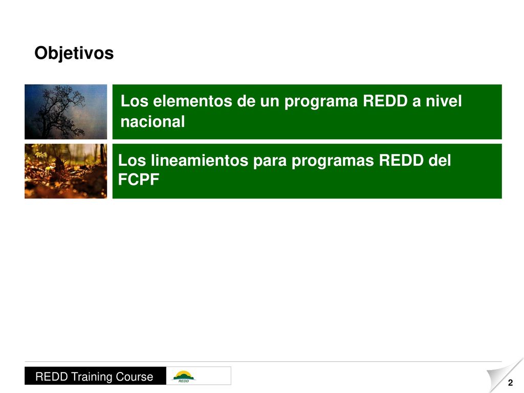 Objetivos Los elementos de un programa REDD a nivel nacional