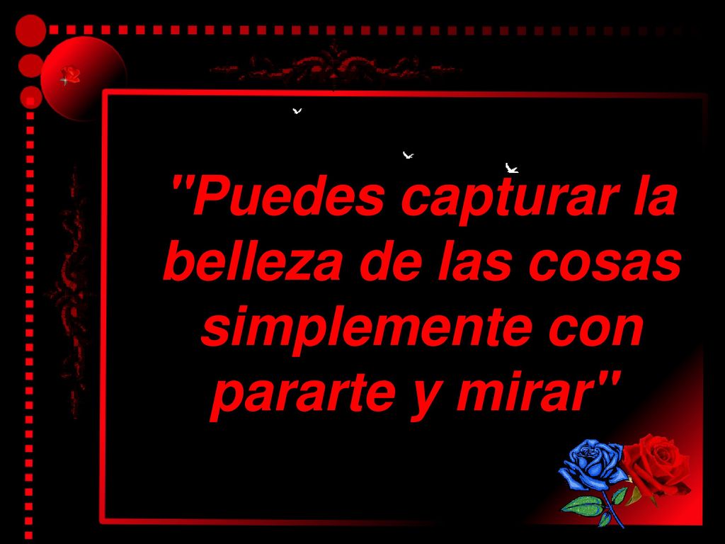 Puedes capturar la belleza de las cosas simplemente con pararte y mirar