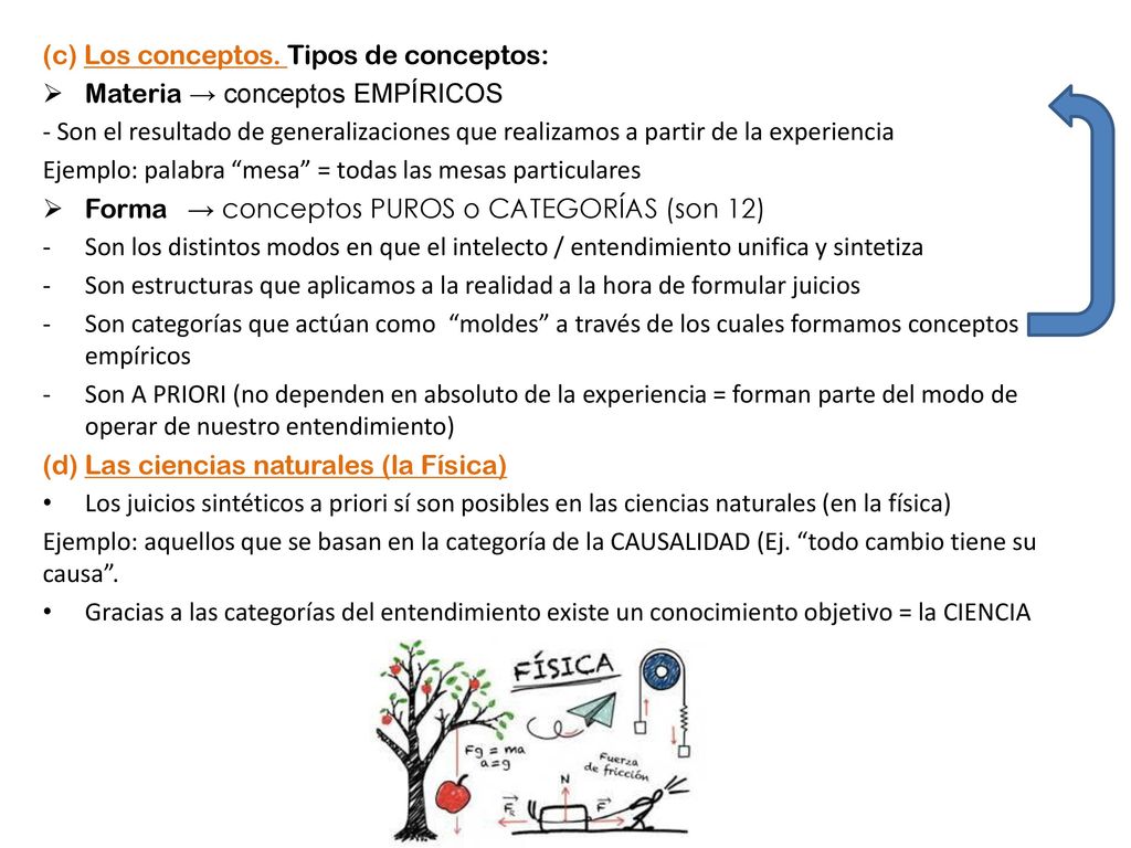 (c) Los conceptos. Tipos de conceptos: