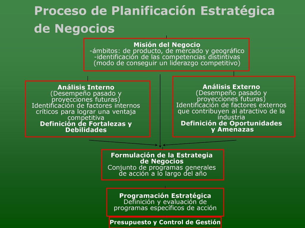 Proceso de Planificación Estratégica de Negocios