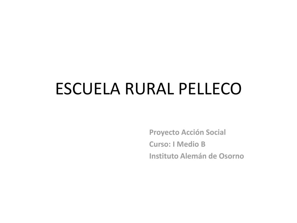 Proyecto Acción Social Curso: I Medio B Instituto Alemán de Osorno