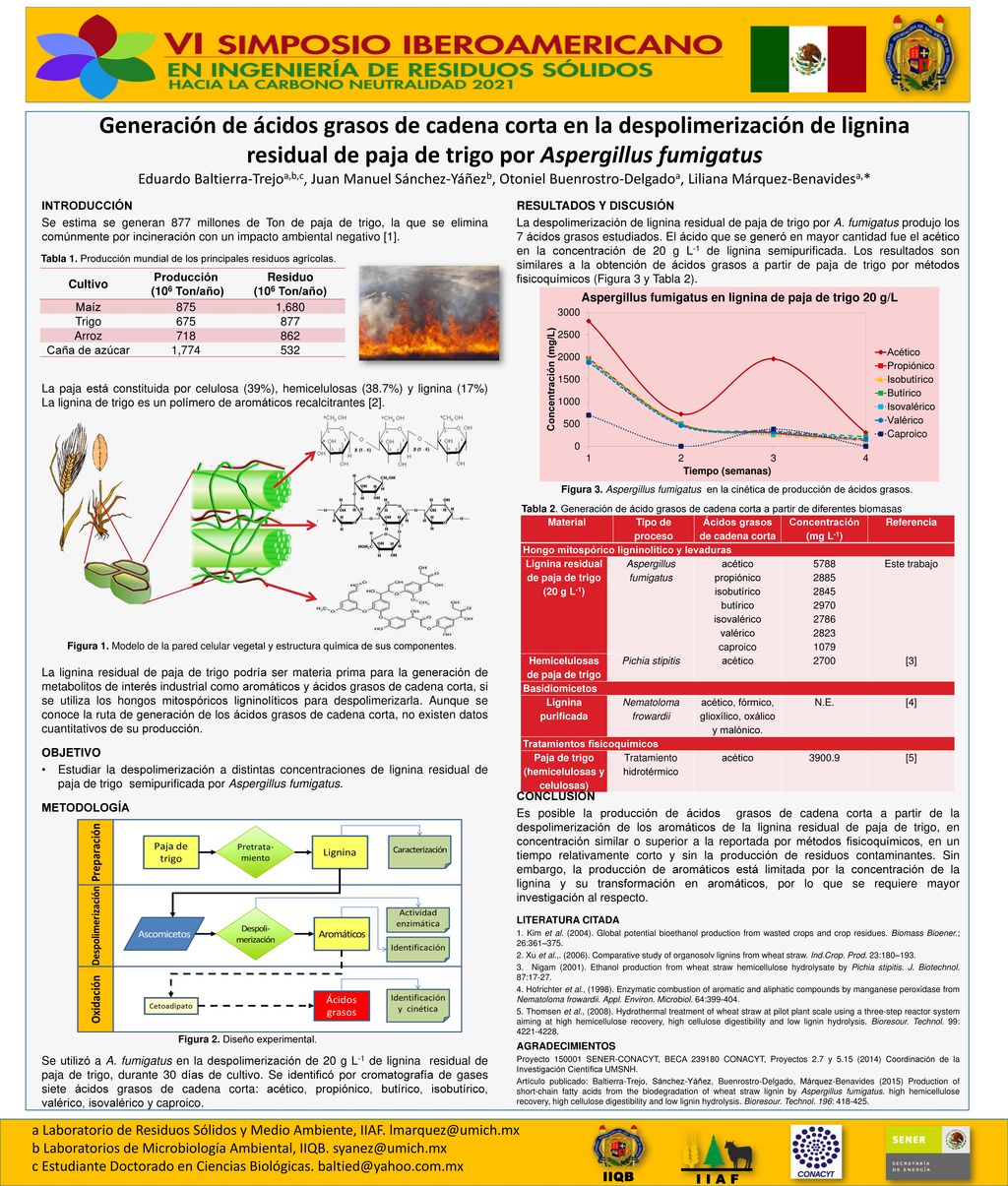 Generación de ácidos grasos de cadena corta en la despolimerización de lignina residual de paja de trigo por Aspergillus fumigatus Eduardo Baltierra-Trejoa,b,c, Juan Manuel Sánchez-Yáñezb, Otoniel Buenrostro-Delgadoa, Liliana Márquez-Benavidesa,*
