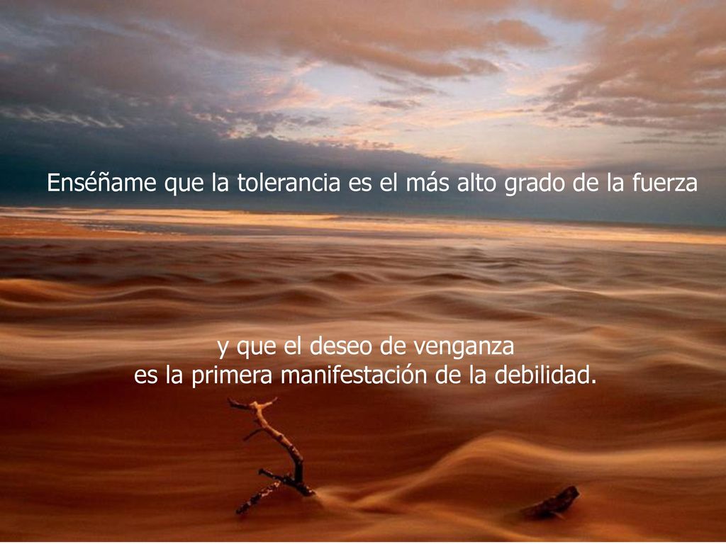 Enséñame que la tolerancia es el más alto grado de la fuerza