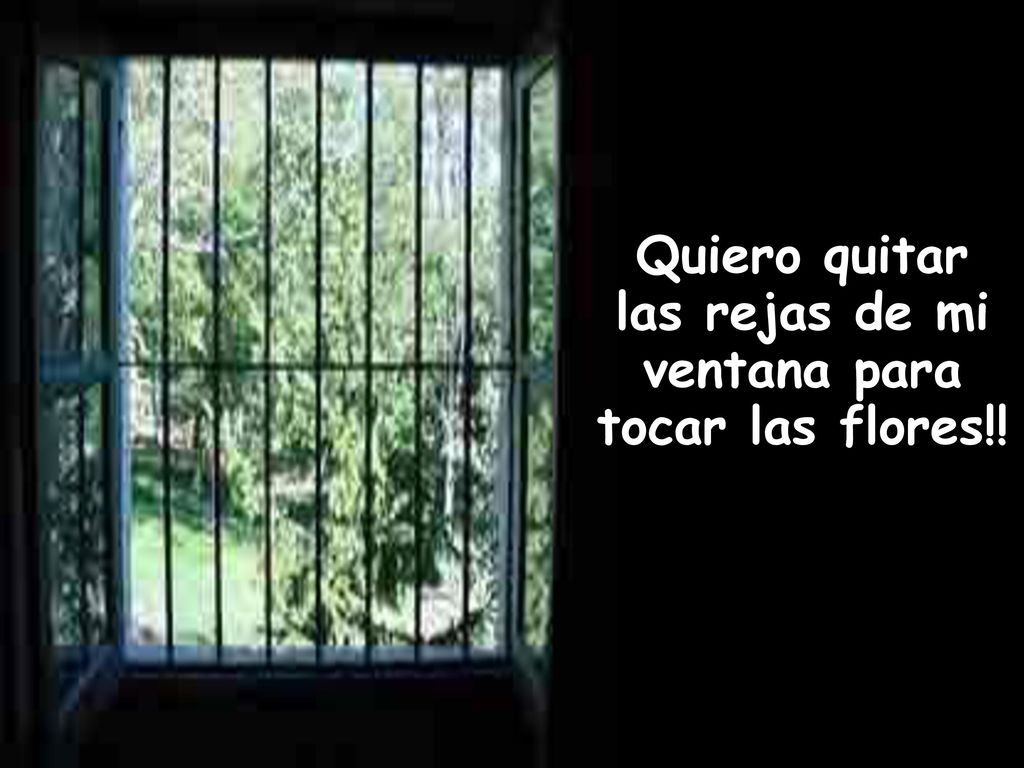las rejas de mi ventana para tocar las flores!!