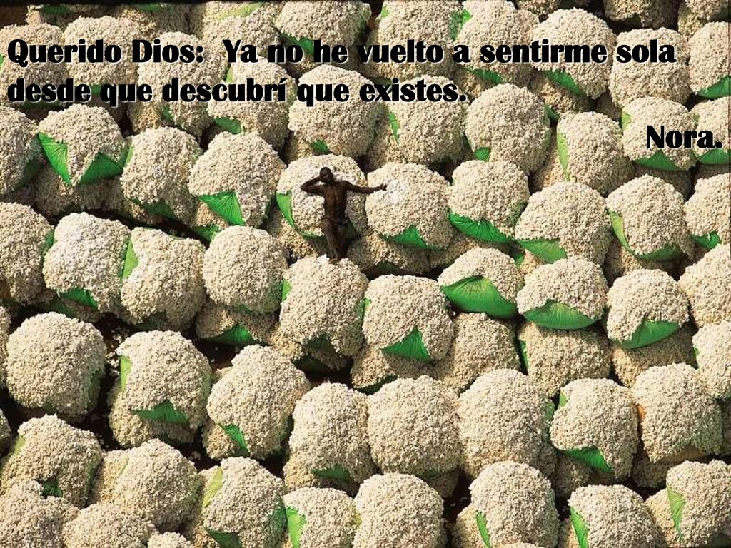 Querido Dios: Ya no he vuelto a sentirme sola desde que descubrí que existes.