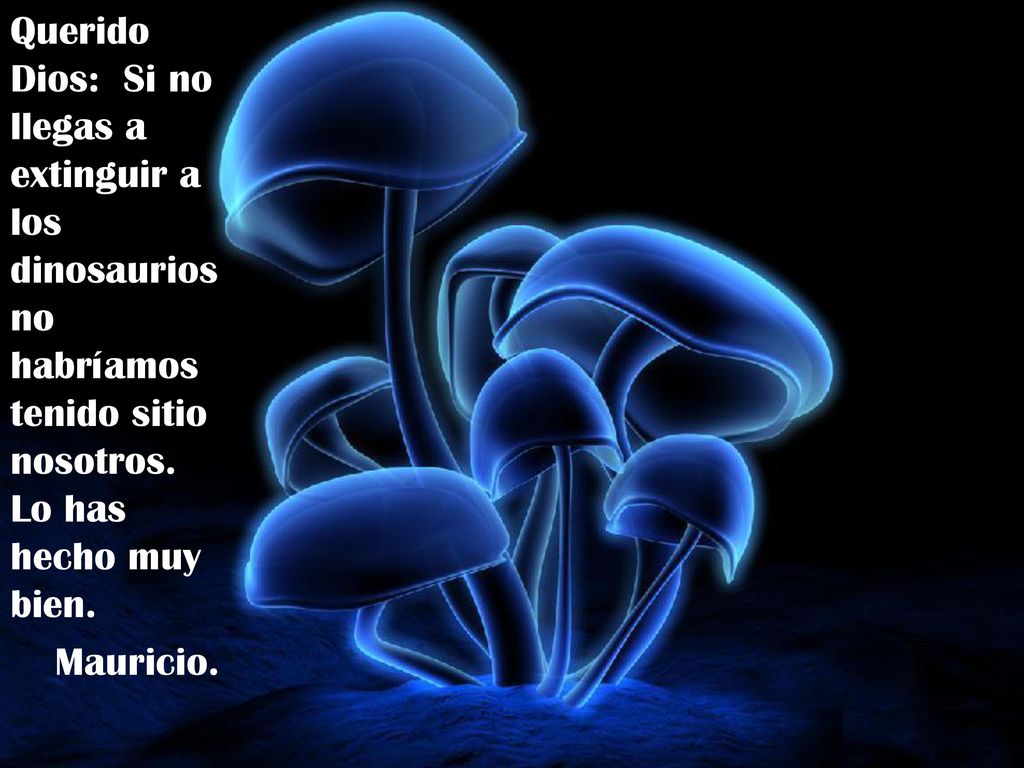 Querido Dios: Si no llegas a extinguir a los dinosaurios no habríamos tenido sitio nosotros. Lo has hecho muy bien.