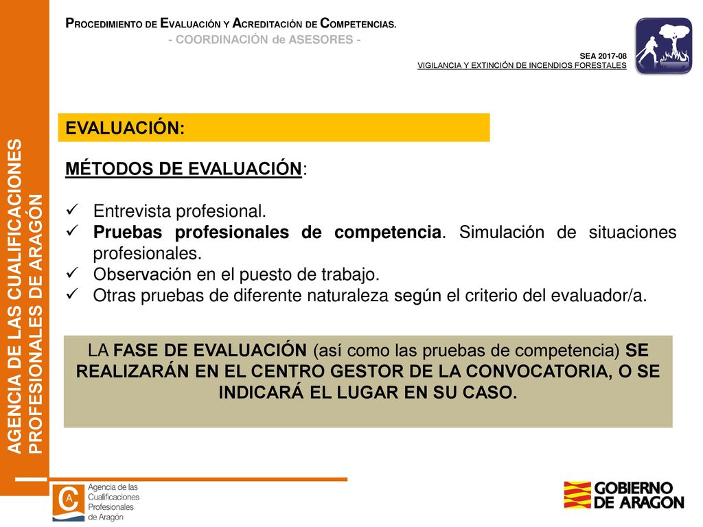 EVALUACIÓN: MÉTODOS DE EVALUACIÓN: Entrevista profesional. Pruebas profesionales de competencia. Simulación de situaciones profesionales.