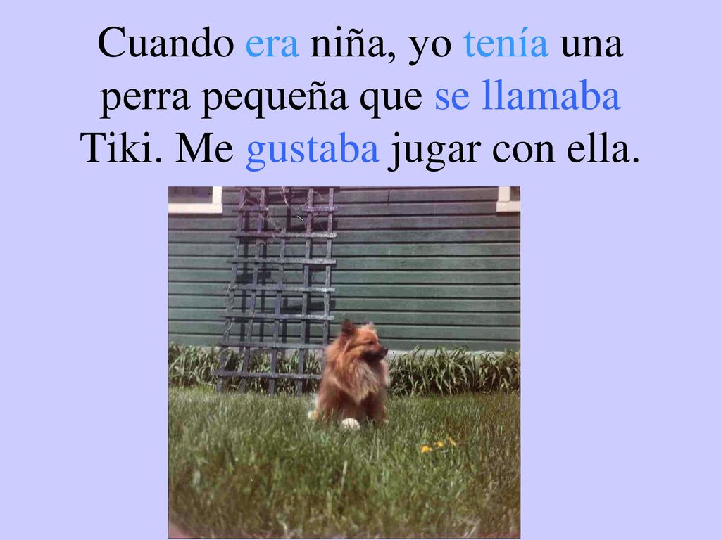 Cuando era niña, yo tenía una perra pequeña que se llamaba Tiki