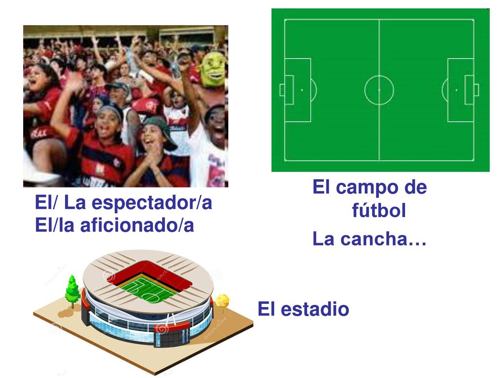 El campo de fútbol La cancha… El/ La espectador/a El/la aficionado/a El estadio