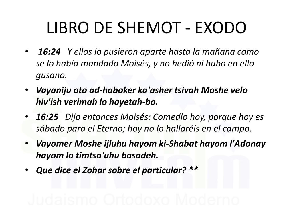LIBRO DE SHEMOT - EXODO 16:24 Y ellos lo pusieron aparte hasta la mañana como se lo había mandado Moisés, y no hedió ni hubo en ello gusano.