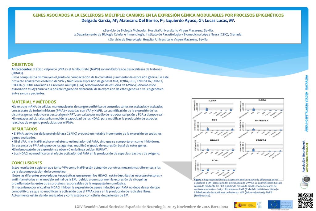 GENES ASOCIADOS A LA ESCLEROSIS MÚLTIPLE: CAMBIOS EN LA EXPRESIÓN GÉNICA MODULABLES POR PROCESOS EPIGENÉTICOS Delgado García, M1; Matesanz Del Barrio, F2; Izquierdo Ayuso, G3; Lucas Lucas, M1. 1.Servicio de Biología Molecular. Hospital Universitario Virgen Macarena, Sevilla. 2.Departamento de Biología Celular e Inmunología. Instituto de Parasitología y Biomedicina López Neyra (CSIC), Granada. 3.Servicio de Neurología. Hospital Universitario Virgen Macarena, Sevilla.