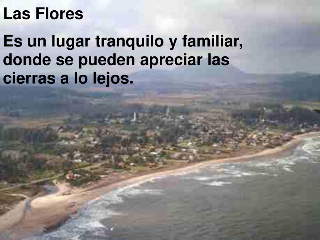 Las Flores Es un lugar tranquilo y familiar, donde se pueden apreciar las cierras a lo lejos.