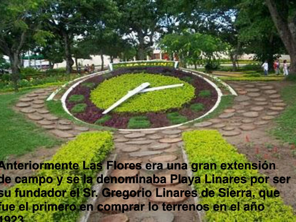 Anteriormente Las Flores era una gran extensión de campo y se la denominaba Playa Linares por ser su fundador el Sr.