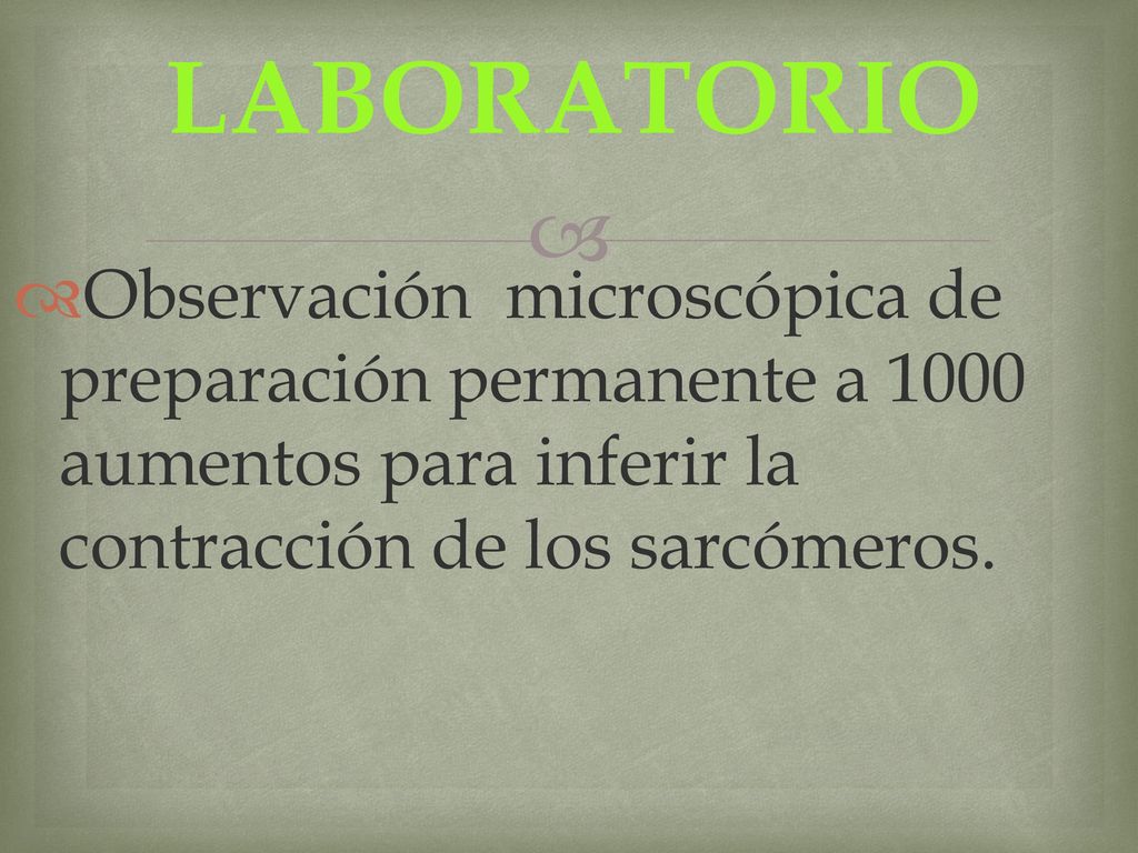 LABORATORIO Observación microscópica de preparación permanente a 1000 aumentos para inferir la contracción de los sarcómeros.