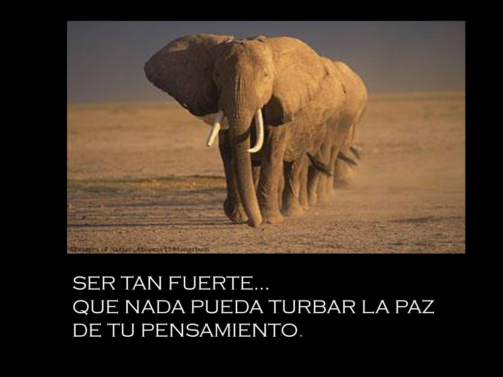 SER TAN FUERTE... QUE NADA PUEDA TURBAR LA PAZ DE TU PENSAMIENTO.
