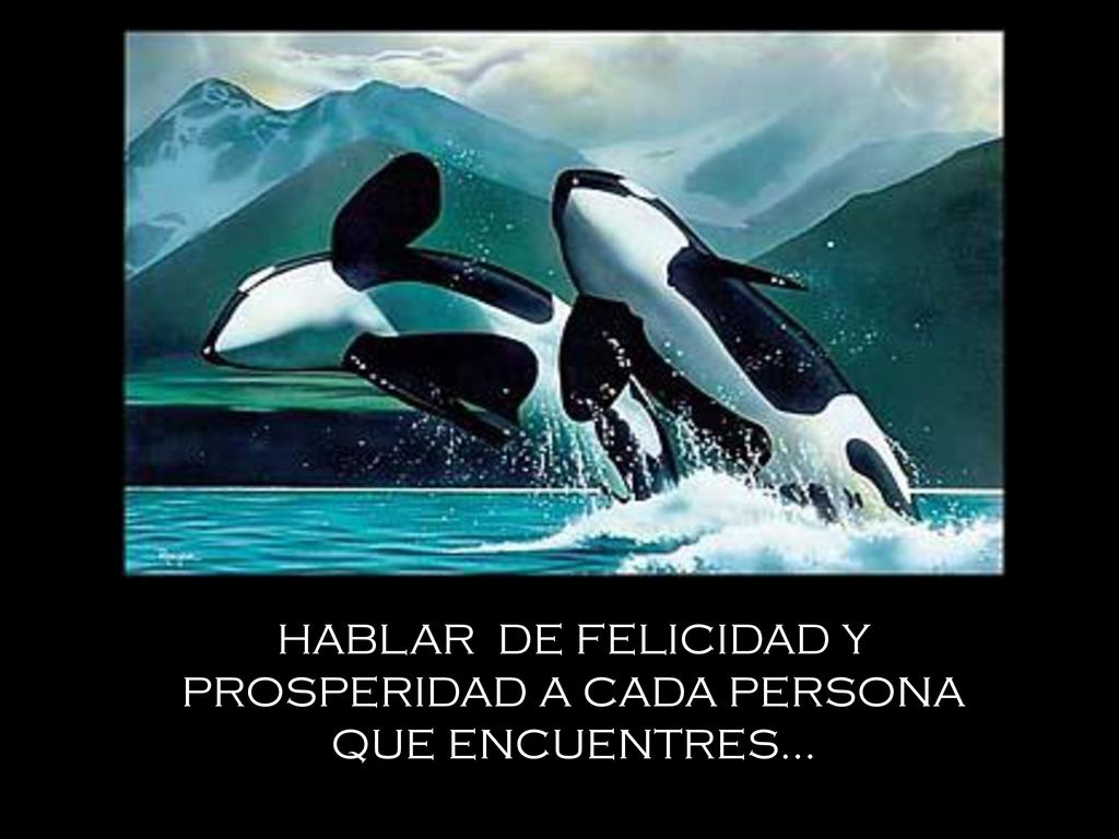 HABLAR DE FELICIDAD Y PROSPERIDAD A CADA PERSONA QUE ENCUENTRES...