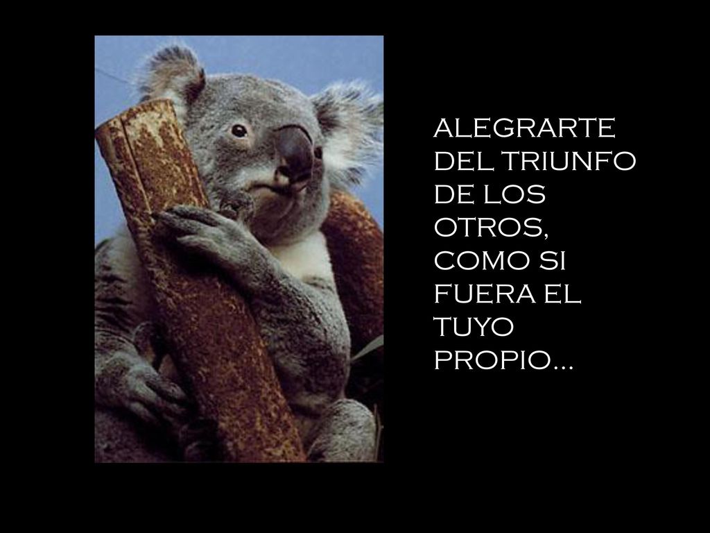 ALEGRARTE DEL TRIUNFO DE LOS OTROS, COMO SI FUERA EL TUYO PROPIO...
