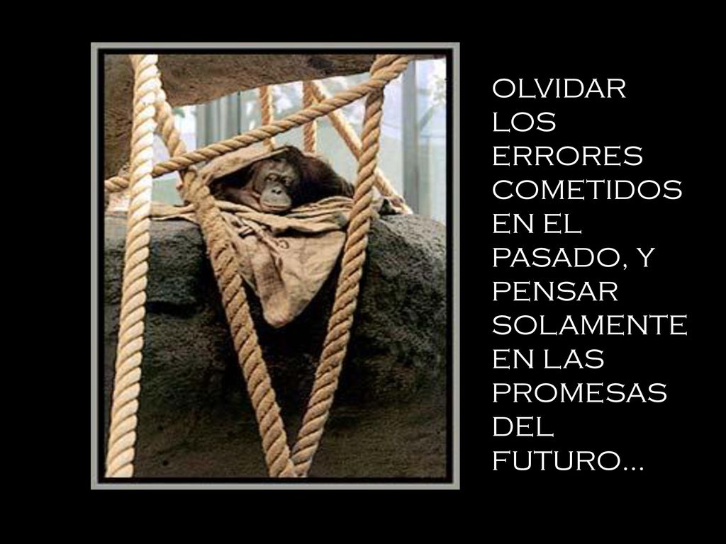 OLVIDAR LOS ERRORES COMETIDOS EN EL PASADO, Y PENSAR SOLAMENTE EN LAS PROMESAS DEL FUTURO...