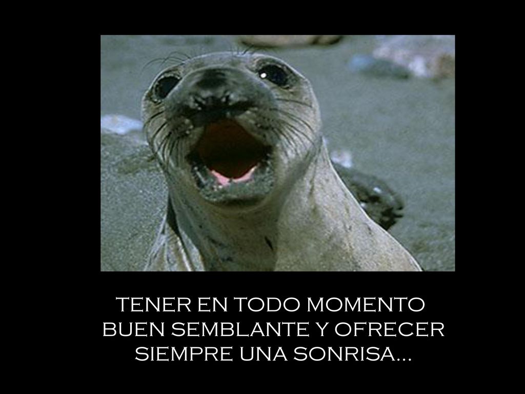 TENER EN TODO MOMENTO BUEN SEMBLANTE Y OFRECER SIEMPRE UNA SONRISA...